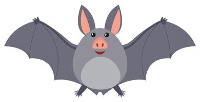 Bat with gray wings vector