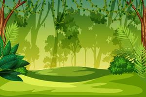 A green jungle landscape vector