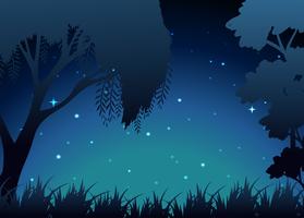 Scene of forest at night vector