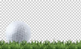 Golf ball on grass  vector