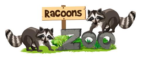 Racoons at the zoo sign vector