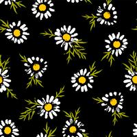 Abstract floral seamless pattern with chamomile. Trendy hand drawn textures vector