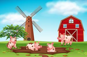 Pigs playing in mud farm scene vector