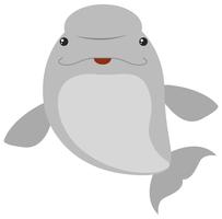 Beluga whale on white background vector