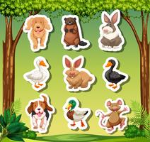 Set of animal sticker vector