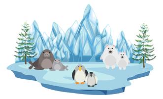 Wildlife in the arctic land vector