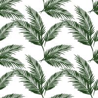 Seamless exotic pattern with palm leaves. vector