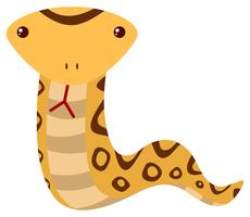 Rattle snake on white background vector