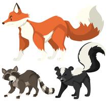 Three types of wild animals on white vector