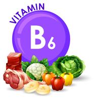 Variedad de diferentes alimentos con vitamina B6. vector