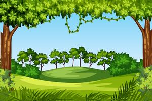 Un paisaje de naturaleza verde. vector