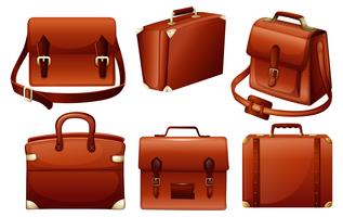 Different designs of bags vector