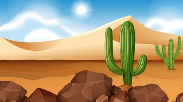 Desert scene with cactus vector