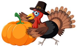 Turkey collect pumpkin on white background vector