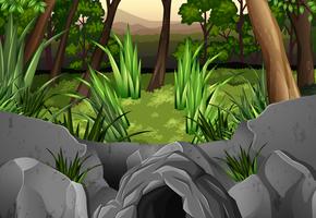 Forest scene with trees around cave vector