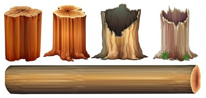 A log and tree stumps