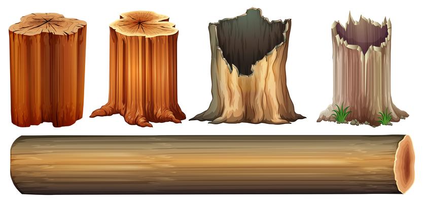 Ilustración de vector de madera de tronco de árbol para diseño gráfico y  elemento decorativo 12098871 Vector en Vecteezy