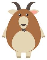 Brown goat on white background vector