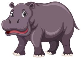 Cute hippo on white background vector