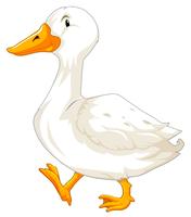 A white goose character vector