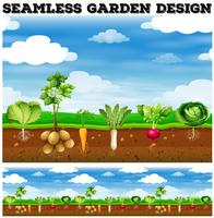 Diferentes tipos de verduras en el jardín. vector