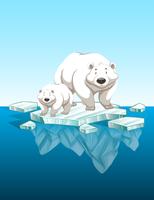 Mother polar bear and cub on ice vector