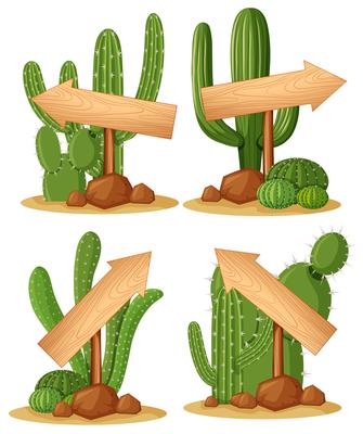 Different designs for wooden arrows on cactus