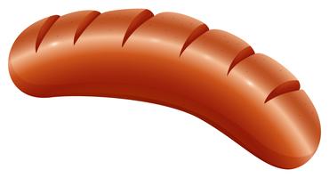 Sausage vector