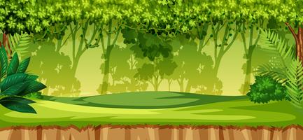 A green jungle landscape vector