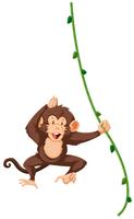 A monkey hanging on vine vector
