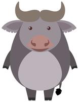 Cute buffalo on white background vector