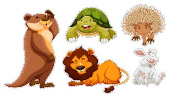 Sticker set of many wildlife vector