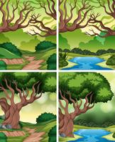 Set of tropical rainforest background vector