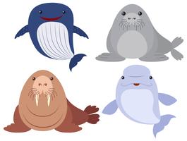 Sea animals on white background vector