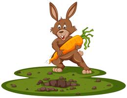 Cute bunny and giant carrot vector