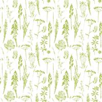 Abstract botanical seamless pattern. Vector herbal background.