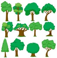 Set of various trees vector
