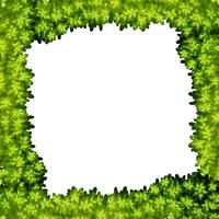 A green leaf frame vector