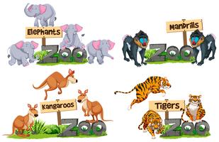 A set of  animals and sign vector