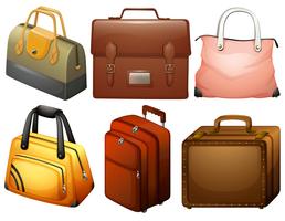 Different types of bags vector