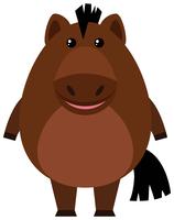 Brown horse on white background vector