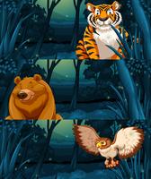 Wild animals in the woods at night vector