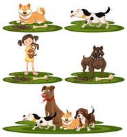 A set of dog breed