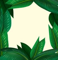 Frame design with green leaves vector