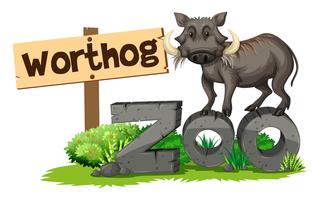 Worthog en el zoológico vector