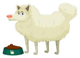 Cute dog with white fur vector