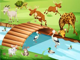 Wildlife in a Beautiful Nature vector