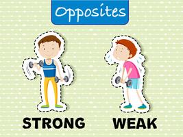 Opposite words for strong and weak vector