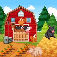 Animals at the farm vector