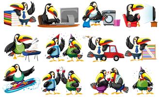 Set of toucan character vector